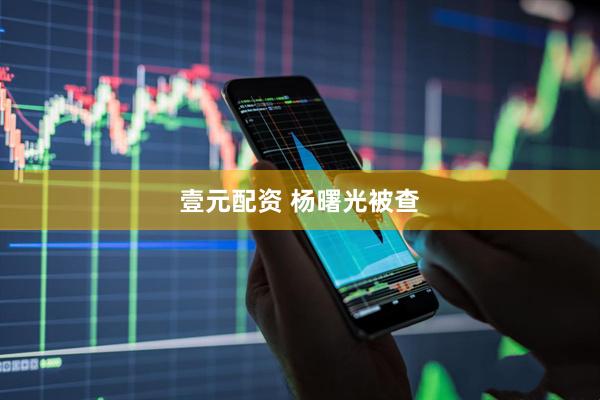 壹元配资 杨曙光被查